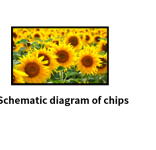 thumb5.png